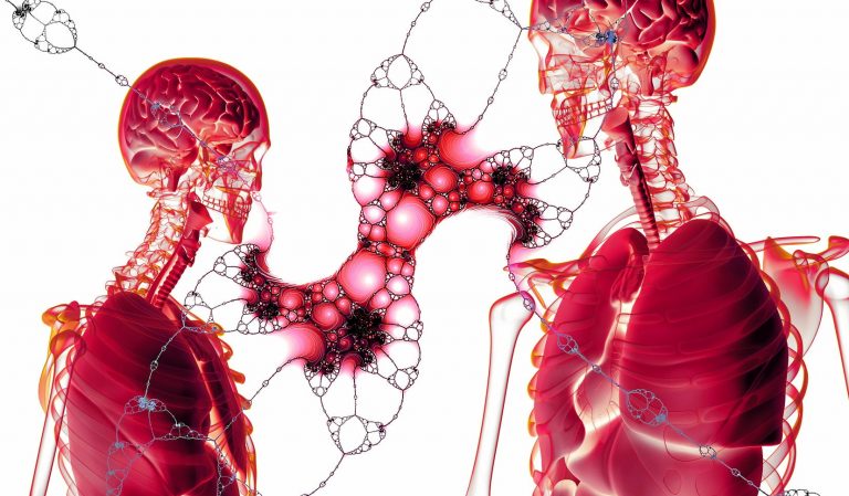 le deuxième cerveau