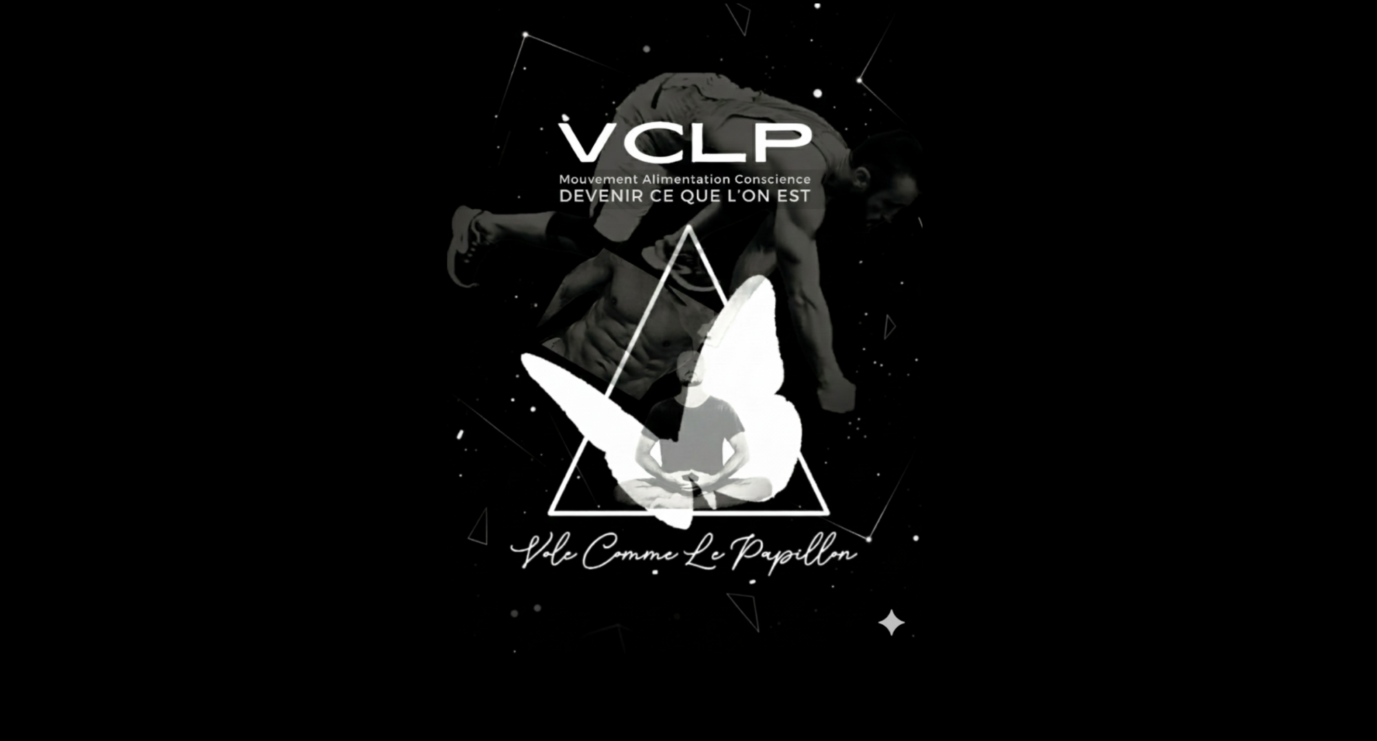 VCLP Vole Comme Le Papillon Devenir ce que l'on est